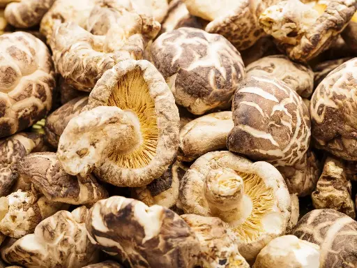 Dried Shiitake Mushrooms (Flower Type)