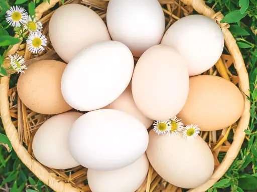 Free-Range Chicken Eggs (Local Farm)